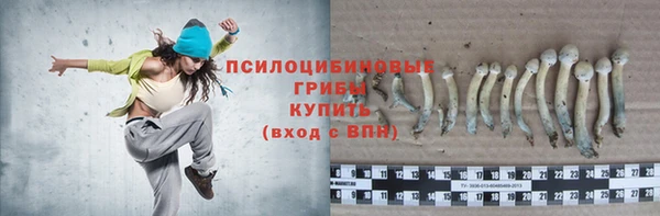 дурь Абинск