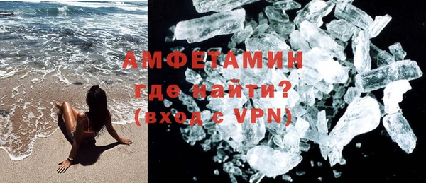 индика Алексин