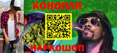 сатива Надым