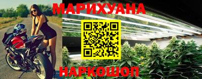 сатива Надым