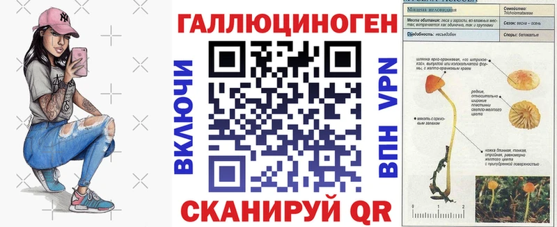 Псилоцибиновые грибы GOLDEN TEACHER  Иркутск 