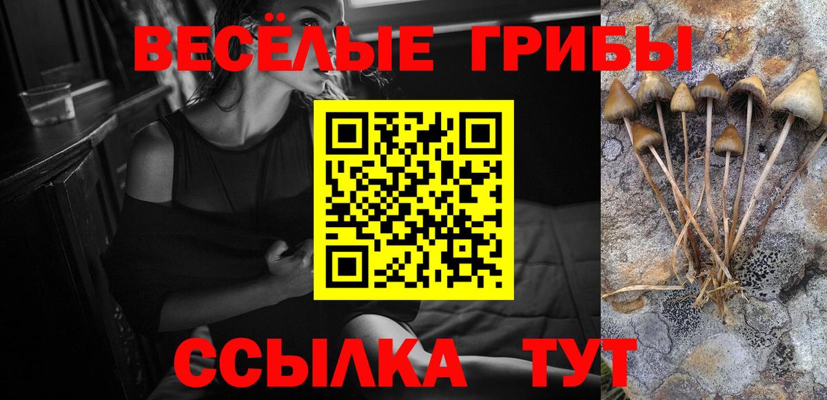 Псилоцибиновые грибы Psilocybine cubensis  Вход с VPN  Иркутск 